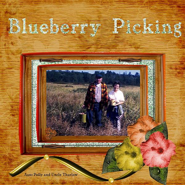 Blueberry picking