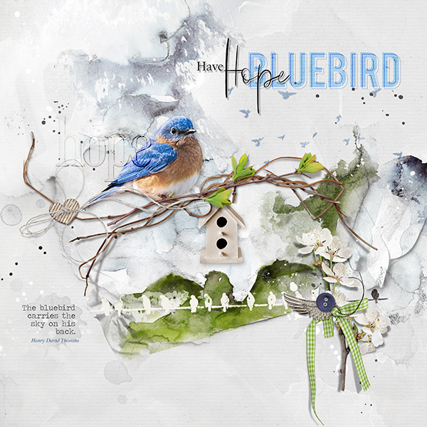 Bluebird of Hope