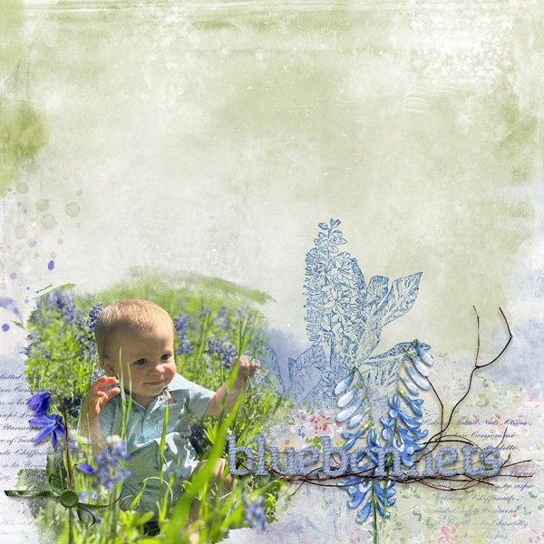 Bluebonnets.jpg