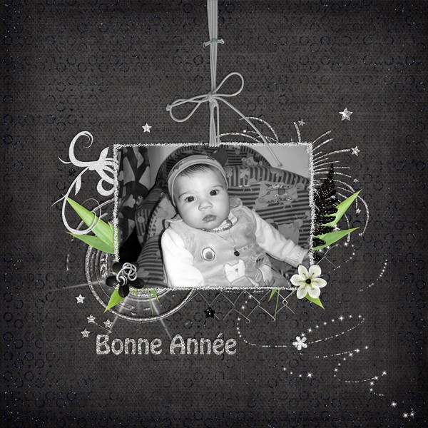 Bonne anne