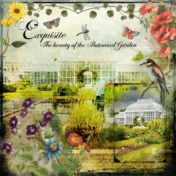 Botanical Garden Glasshouse