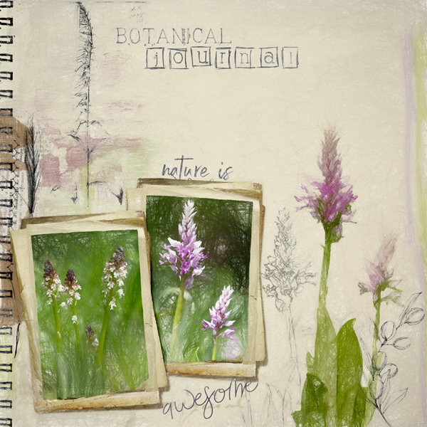 Botanical Journal