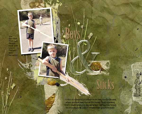 boys and sticks