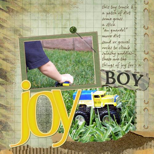 Boy's Joy