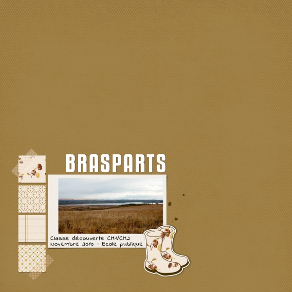 Brasparts