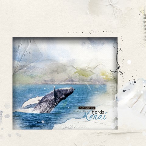 Breaching Humpback