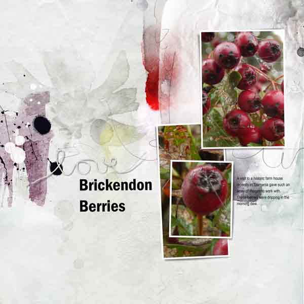 Brickendon Berries