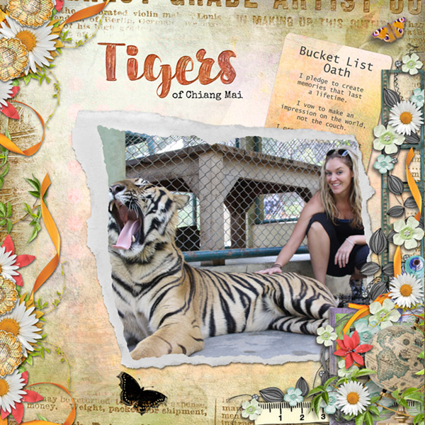 Bucket List-Pet A Tiger