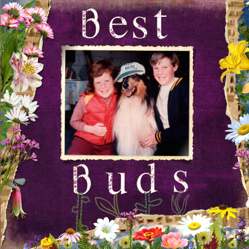 Buddies