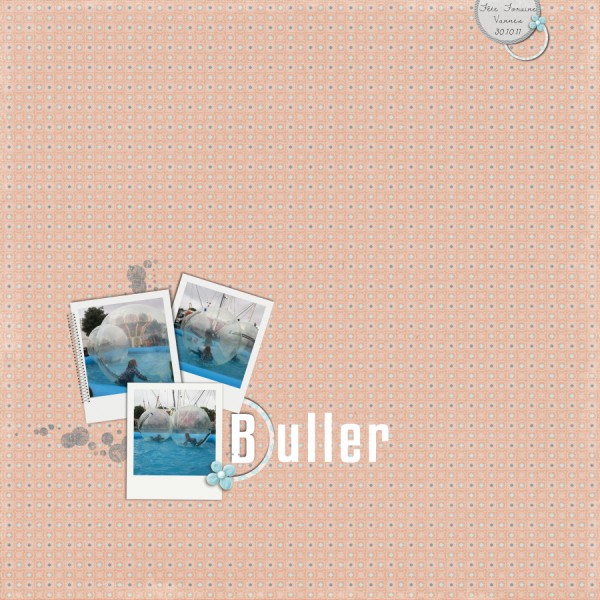 Buller