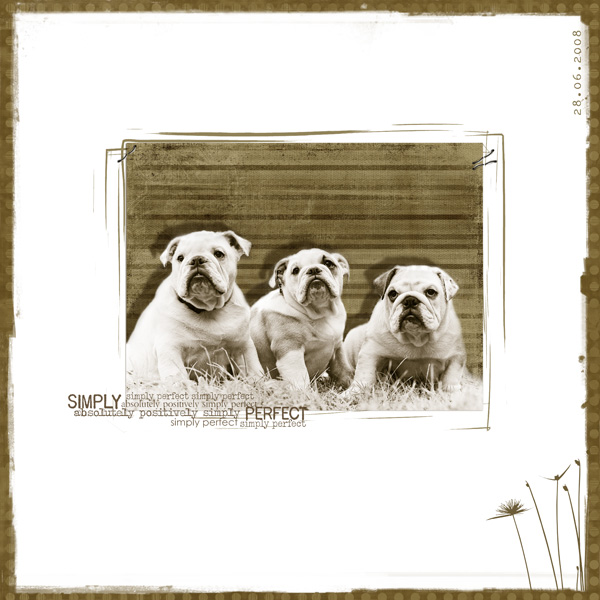 Bullies