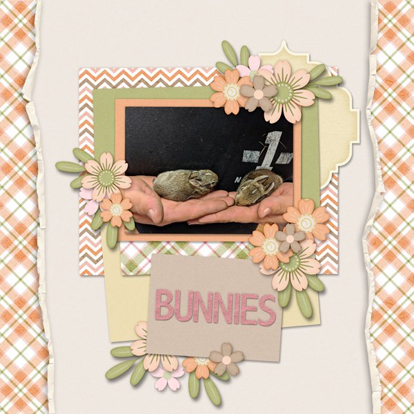 Bunnies