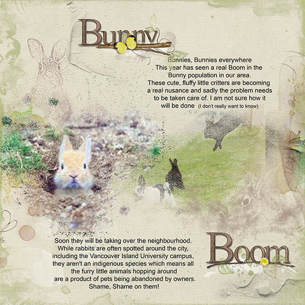 Bunny Boom