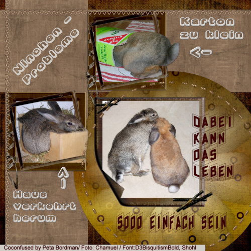 Bunnyproblems:-)