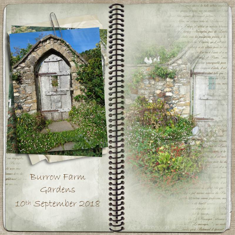 Burrow Farm Gardens