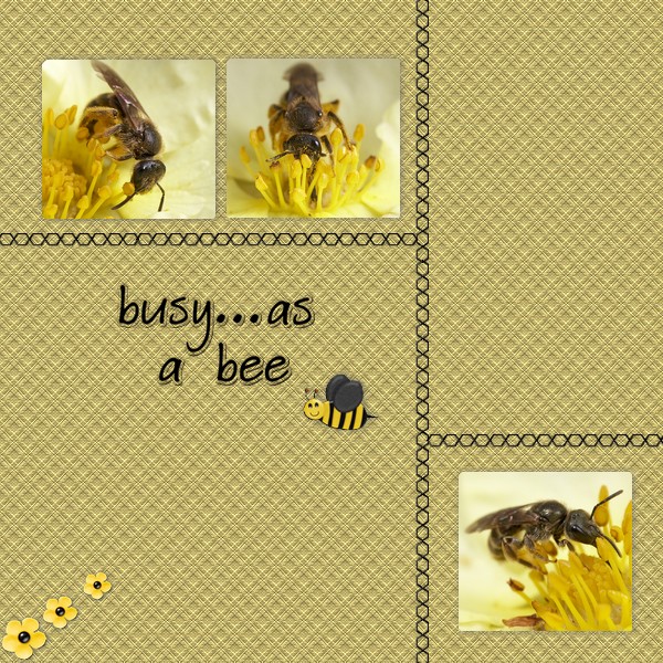 Busy as a bee