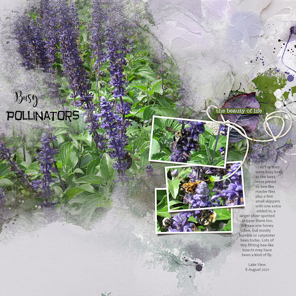 Busy Pollinators