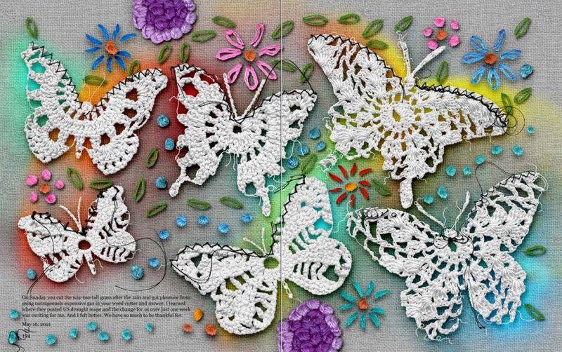 Butterflies and Fractals