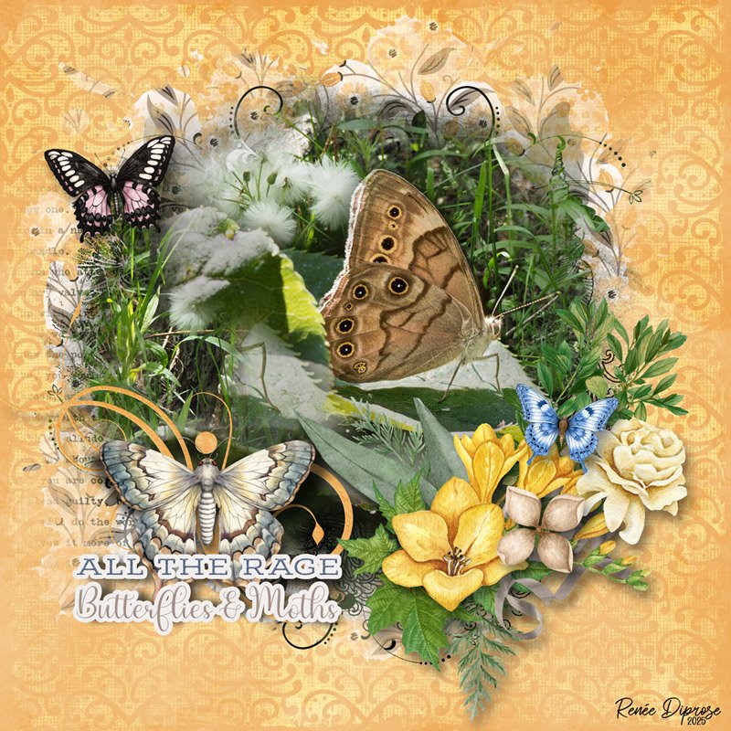 Butterflies and Moths