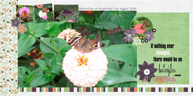 Butterflies