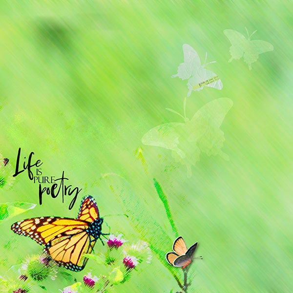 Butterfly = Anna Aspnes Lift 9/20