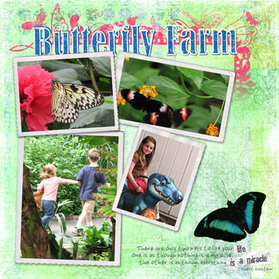 Butterfly Farm