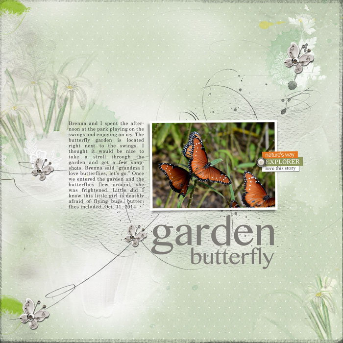 Butterfly Garden