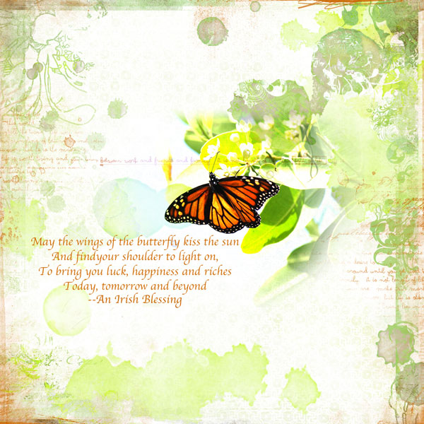 Butterfly Irish Blessing