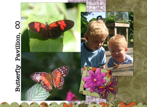 Butterfly Pavillion