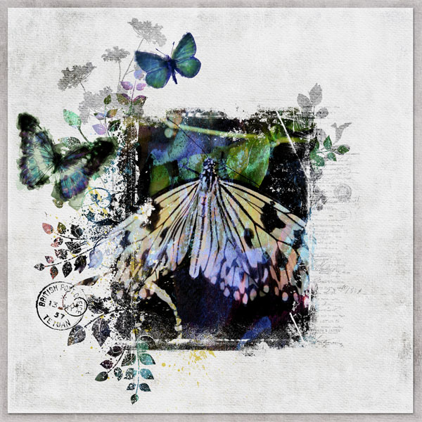 Butterfly