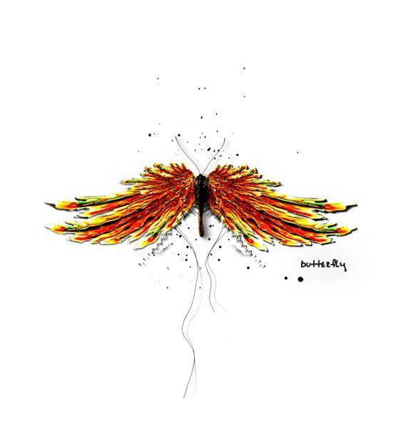 Butterfly...