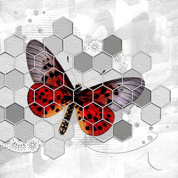 Butterfly...