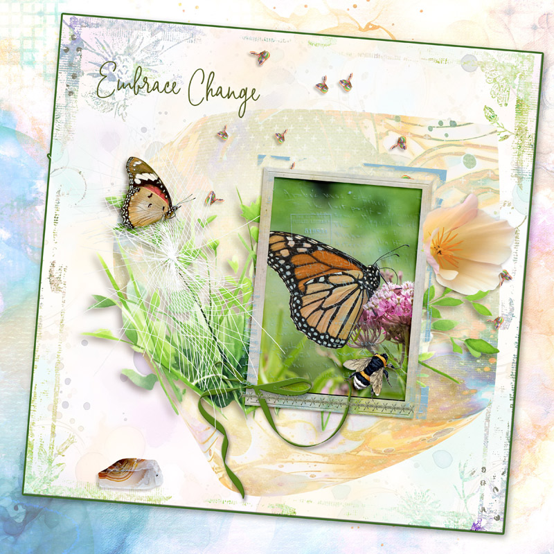 Butterfly