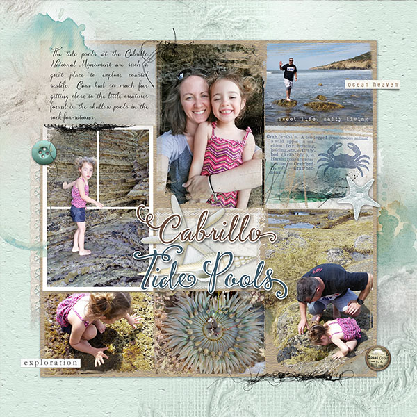 Cabrillo Tide Pools Pg 1