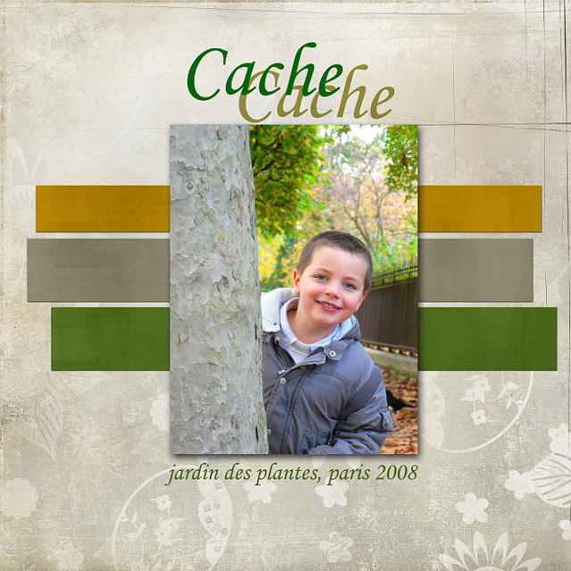 cache cache