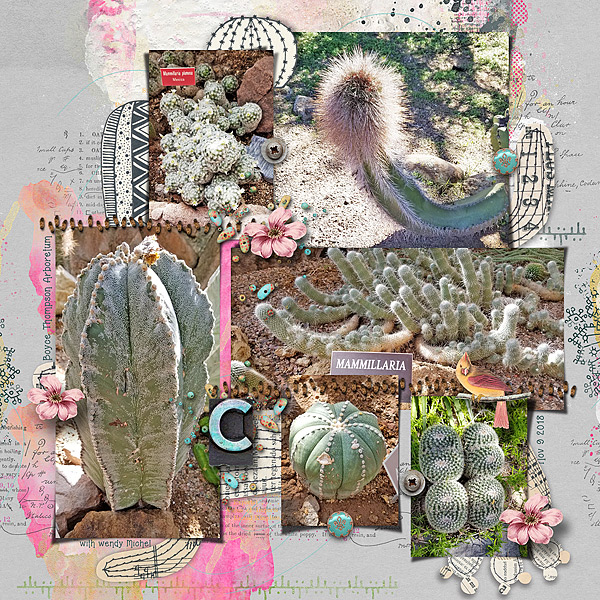 Cactus Collage