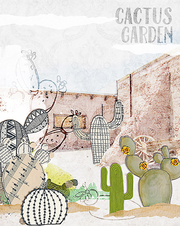 Cactus Garden