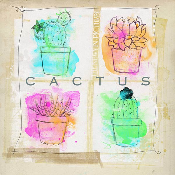 Cactus