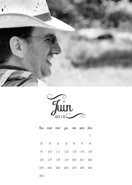 calendar 2014 - june