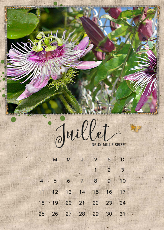 Calendar 2016 - July