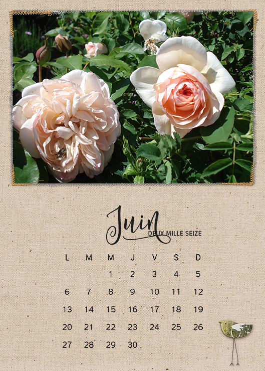 Calendar 2016 - June