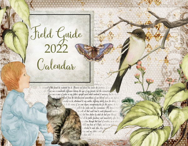 Calendar Cover