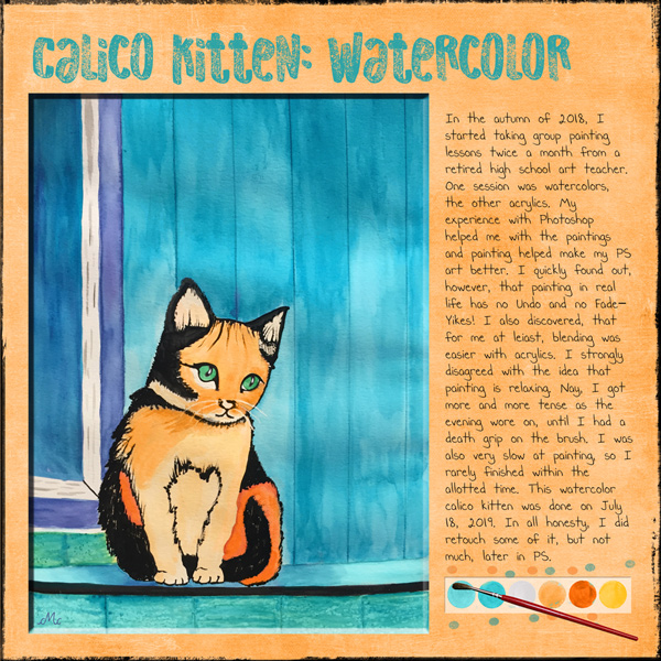 Calico Cat