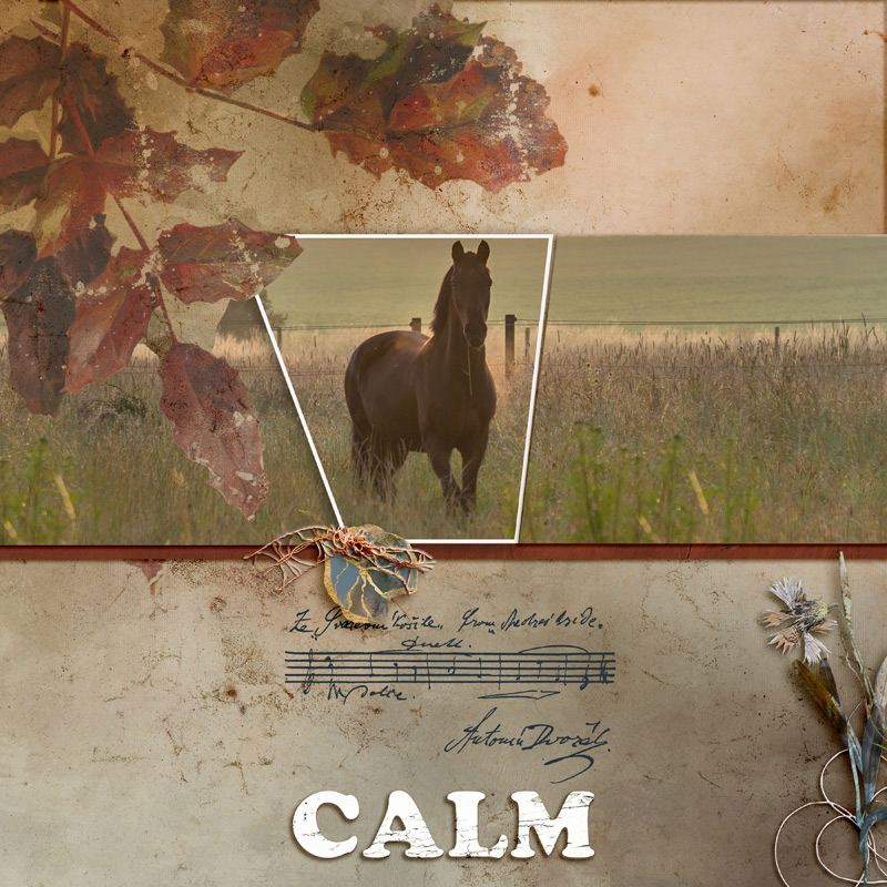 Calm