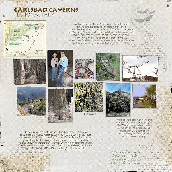 Carlsbad Caverns