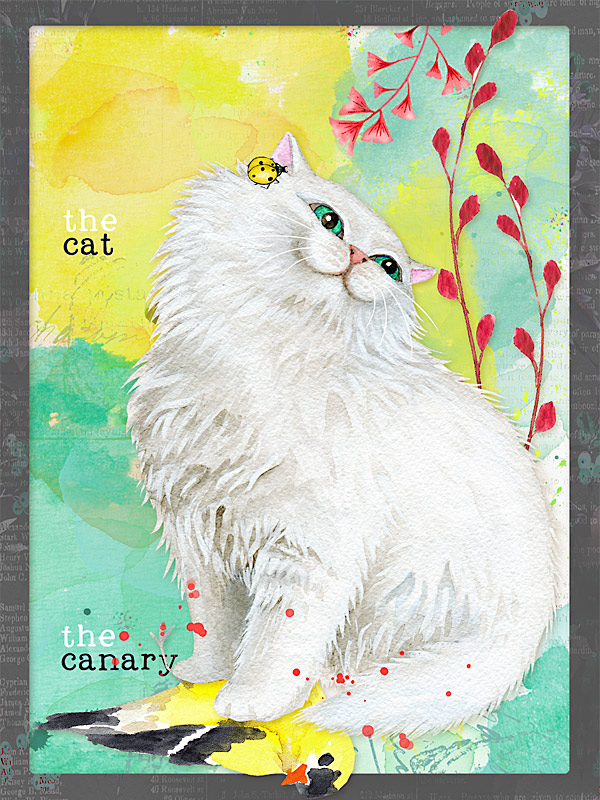 cat-canary