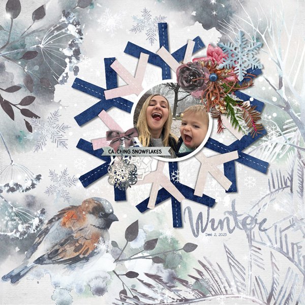 Catching Snowflakes Day1.jpg