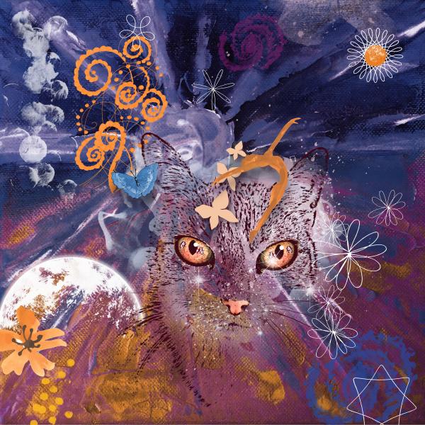 Cat's dream