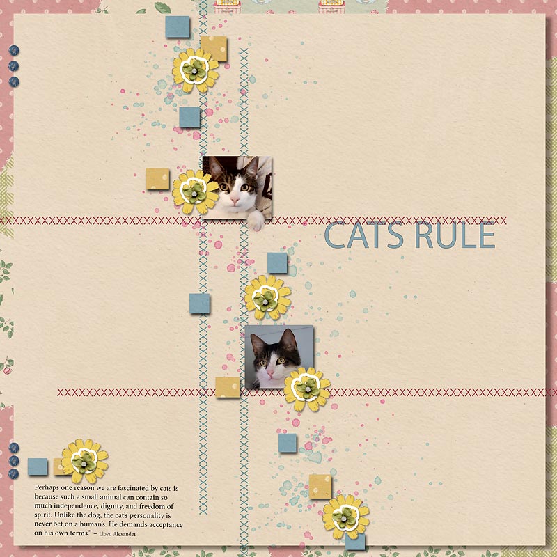 Cats Rule