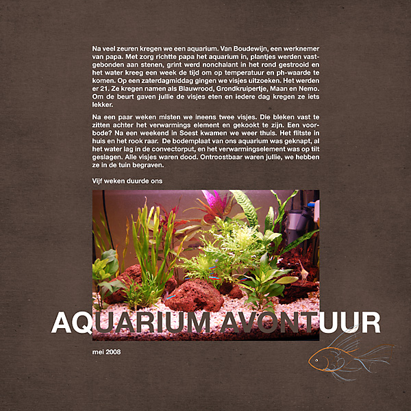 Cat's Spotlight  - Aquarium Adventure